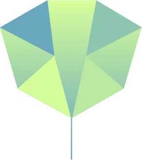 Canopy Vision logo