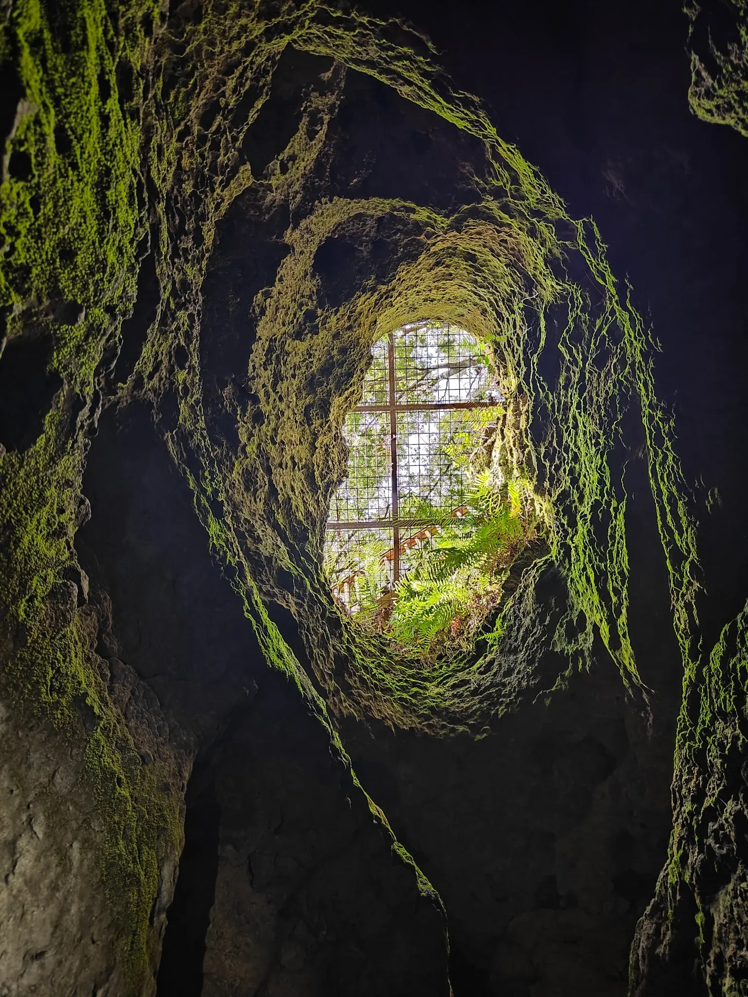 Looking up from inside the Bat Cave